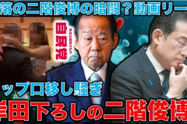 岸田下ろし準備完了！和歌山自民党ハレンチパーティも二階俊博のリーク？4月28日補選前に暗闘が激化。安冨歩元東京大学教授。一月万冊