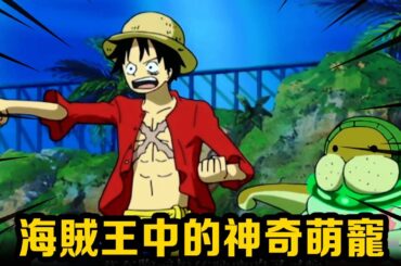 海賊王中的14隻神奇萌寵！ 喬巴貝波也被定為寵物級別，路飛徒弟功夫海牛學會霸王色！ #盤點#山治#路飛#海賊王#草帽#索隆