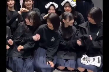 櫻坂46 山下瞳月 かりんちゃんの事が気になる猫しーちゃん 藤吉夏鈴 谷口愛季 猫ミーム