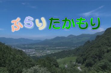 ぶらり高森 桃沢Vol 4