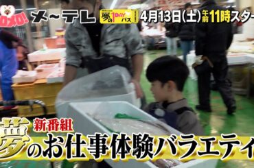 【予告】「夢の１DAYパス」4月13日（土）午前11時～スタート！