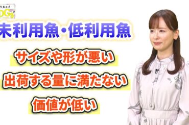 知りたい！SDGs #234 | 2024/3/21放送