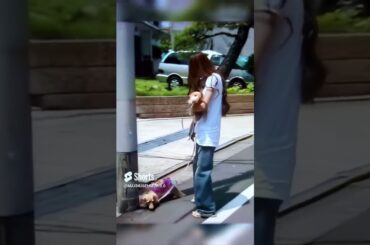 安室奈美恵・愛犬と散歩できる幸せ