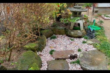 雨の日の朝、実家の庭（池は埋められました）
