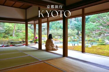 【Kyoto Trip】大人の京都ひとり旅｜町家カフェや京うどんなど沢山食べた3日間