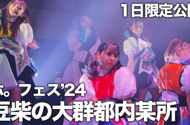 【1日限定公開】豆柴の大群都内某所 a k a  MONSTERIDOL ホ。フェス’24 in 京都KBSホール 2024/02/23 #豆柴の大群 #豆柴の大群都内某所