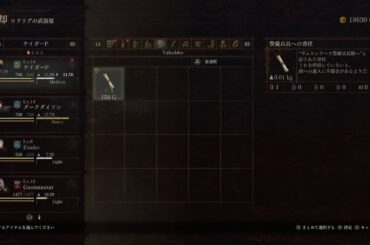 深夜のドラゴンズドグマ2