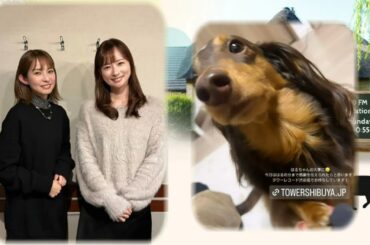 SCANDAL 20240324 皆藤愛子の窓café  闇から光へ上がるLUMINOUS、健康に楽しく続けて行きたい。HARUNA出演