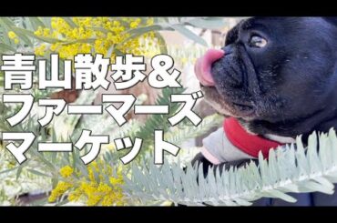青山ファーマーズマーケットで買い物&誕生日のお祝い