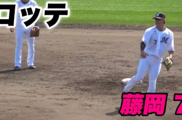 【期待の藤原 安田も中堅クラスになりリーグ優勝を狙うロッテの試合前シートノック！！】