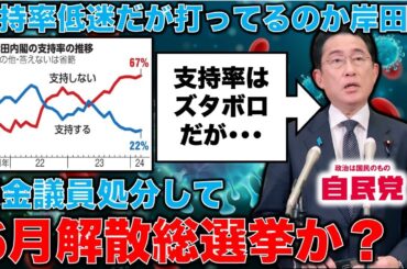 文春砲炸裂でも6月解散総選挙の可能性大！裏金議員を処分してから選挙に出る岸田首相。自民党和歌山セクシー懇親会のリーク合戦も、風雲急を告げる情勢と関係が？散安冨歩元東京大学教授。一月万冊