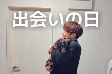 【犬7頭と暮らすおっさん】生後10ヶ月の子犬をお迎えしました【子犬のお迎え】