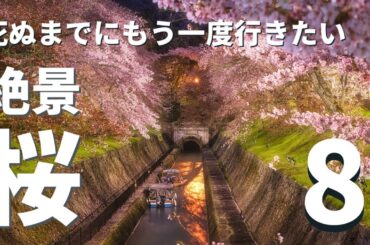 【桜絶景ランキング】関西の絶景桜スポット８選（2023年撮影分から厳選）