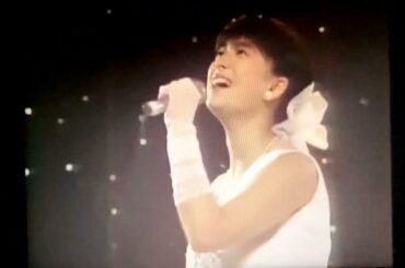 武道館ライブ🌸河合奈保子さん🌺刹那の夏♬デビュー♬涙のハリウッド♬THROUGH THE WINDOW♬ジェラストレイン♬ハーフムーンセレナーデ🌺1986.9 with石川秀美さん 菊池桃子さん