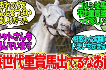 今年のゴルシ産駒何かがおかしい…に対するみんなの反応！【競馬 の反応集】