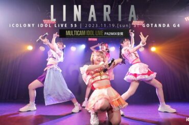 Linaria [ 2023.11.19 ＠ GOTANDA G4 ]