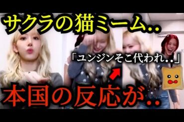 【48連発】サクラの猫ミームが可愛すぎると話題に..【LE SSERAFIM】