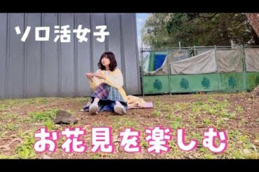 【ソロ活】上野公園でお花見を楽しむ