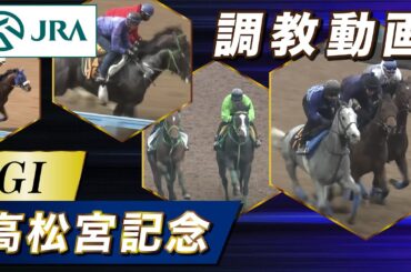 【調教動画】2024年 高松宮記念｜JRA公式