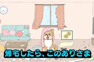 「カルピスソーダ」 「いったん、落ち着こう。 帰宅」編 長澤まさみ