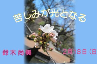 2024/2/18  いやし礼拝「苦しみが光となる」鈴木尚美 子羊の群れキリスト教会