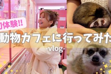 動物カフェに潜入‼️可愛すぎて感情が崩壊した🥺