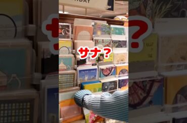 Twice ナヨンがサナを見付けた / Nayeon found Sana / #shorts