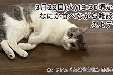 【第18回生配信】なにか食べながら雑談とぷよテト【佐々木琴子】