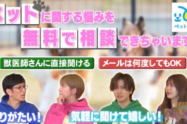 【ペットくすり 獣医無料相談サービス】：ペットに関するお悩みを気軽に相談できるんです♪ #144-4