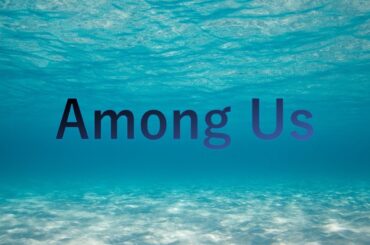 【3/25】やる気精査【AmongUs】