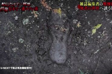 【一部無料公開】#3 恐怖の職業怪談 誰もいないホストクラブに潜む謎の女性『配信だけで…解禁  絶恐映像 日本で一番コワい夜』｜U-NEXTで独占配信！