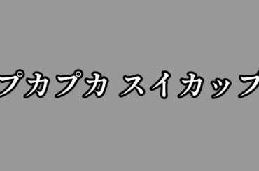 👨‍👩‍👧‍👦プカプカ スイカップ