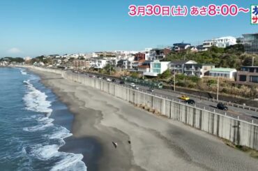 ゲストの旅は坂本昌行！ロコレコ！は山之内すず！「旅サラダ」3月30日（土）放送