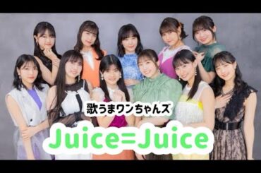 【ハロプロ】Juice=Juice メンバー紹介【布教用】
