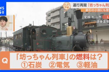 夏目漱石の小説にも登場　愛媛県松山市のシンボル「坊っちゃん列車」が運行再開！列車内からすたすた！｜TBS NEWS DIG