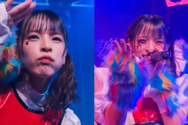 豆柴の大群都内某所 a k a  MONSTERIDOL アイカ「わんダーらんど」 豆柴の大群 ライブ