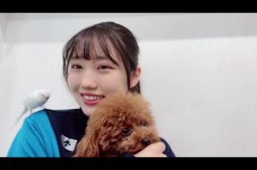 福野杏実 (NMB48)  SHOWROOM 2024年3月26日