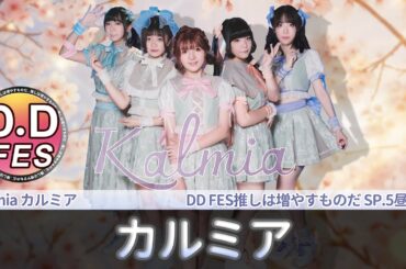 【シロクマTV 4K】Kalmia カルミア🎵カルミア@DDFES推しは増やすものだSP 5