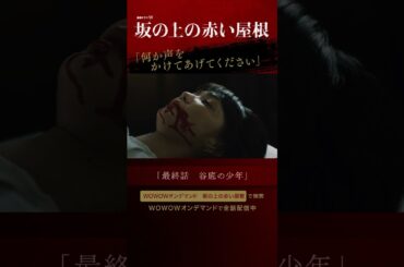 #桐谷健太 #倉科カナ #坂の上の赤い屋根 #真梨幸子 #イヤミス #WOWOW #ドラマ #最終話 #配信中