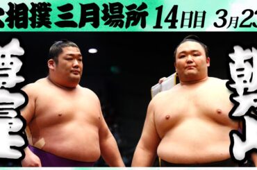 大相撲　尊富士ー朝乃山＜令和６年三月場所・１４日目＞SUMO