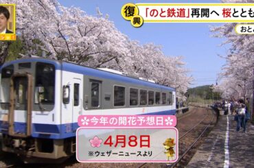 【のと鉄道】「のと鉄道」再開へ 桜とともに…復興への願い〔日テレ鉄道部〕