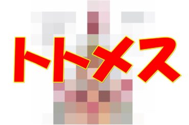 トトメス≪堀川早苗≫【不思議少女ナイルなトトメス】　描く