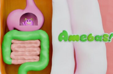 【公式】　アミーバス！ #１１「初恋の味」　Amebas!　#１１「Taste of First Love」