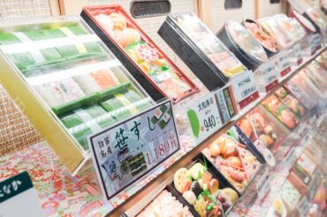 【駅弁図鑑 Vol.2 大阪】名物・郷土料理の駅弁が超旨かった！【おまけ映像 側面展望】南海高野線 天空 展望デッキ 極楽橋駅 - 橋本駅