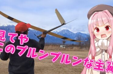 3Dプリントグライダー RISE 2号機