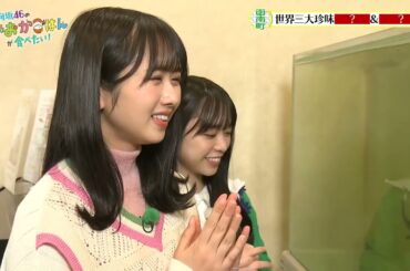 【日向坂46】【上村ひなの 山口陽世】2023.05.20「しずおかごはんが食べたい！」日向坂46