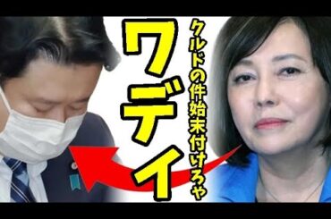 【日本保守党】自民党和田政宗vs日本保守党？百田代表、有本香氏、飯山陽氏に次々SNSで物申す…直接対談すれば良いんじゃね？何でそうしないのかな～ｗ