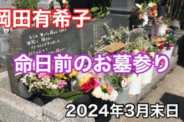岡田有希子 命日前のお墓参り 2024年3月末日