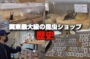 【一気見】２年前の昆虫ショップが今と違いすぎて歴史を感じた