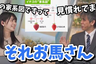 【檜山沙耶・芳野達郎】イチゴの家系図の記事が面白くて芳野さんに伝えたら違う角度から答えが返ってきた【ウェザーニュース切り抜き】